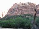015_zion.jpg